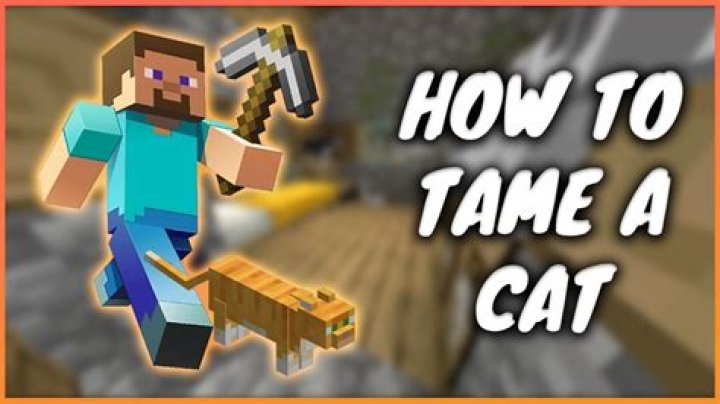 How do u tame a cat in minecraft