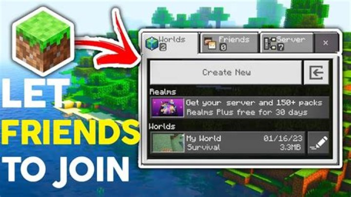 How do you add friends on minecraft java