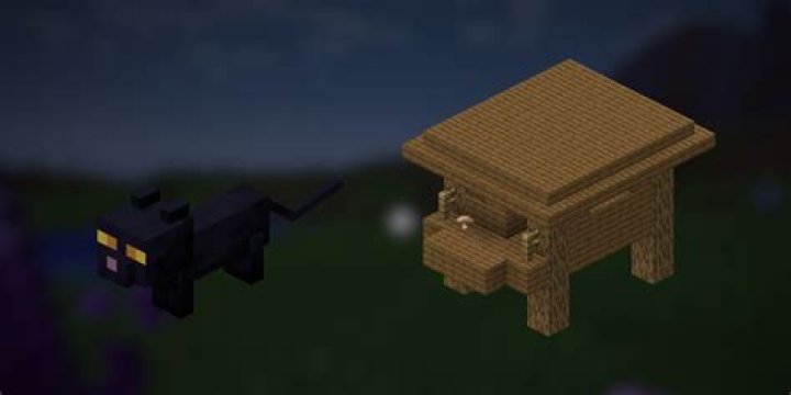 How do you get a cat in minecraft