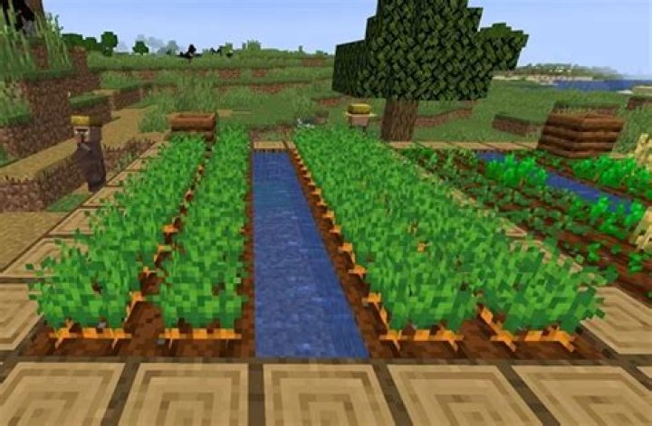 How do you get carrot seeds in minecraft