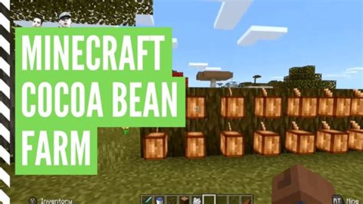 How do you get cocoa beans in minecraft