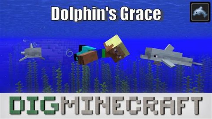 How do you get dolphins grace in minecraft