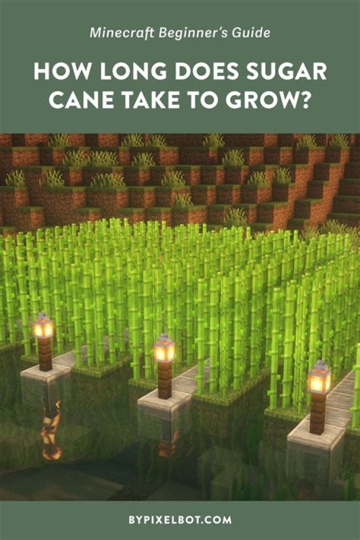 How do you get sugar cane in minecraft