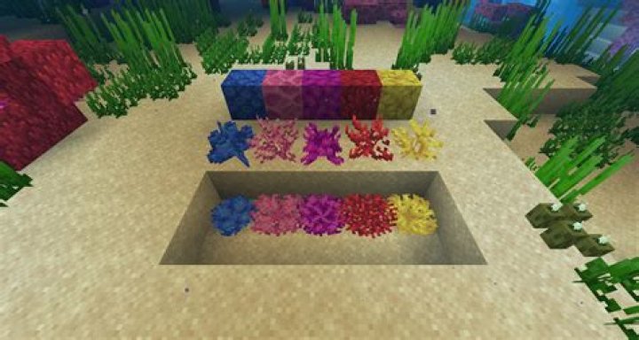 How do you pick up coral in minecraft