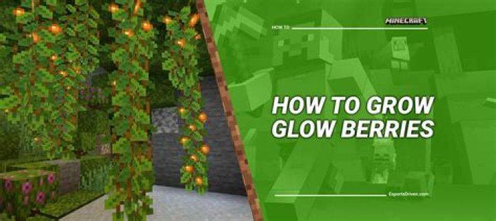 How do you plant glow berries in minecraft