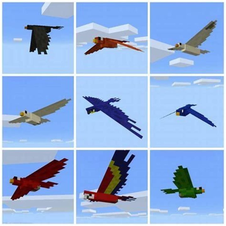 How do you tame a bird in minecraft