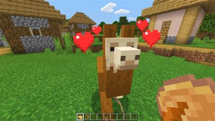 How do you tame a llama in minecraft
