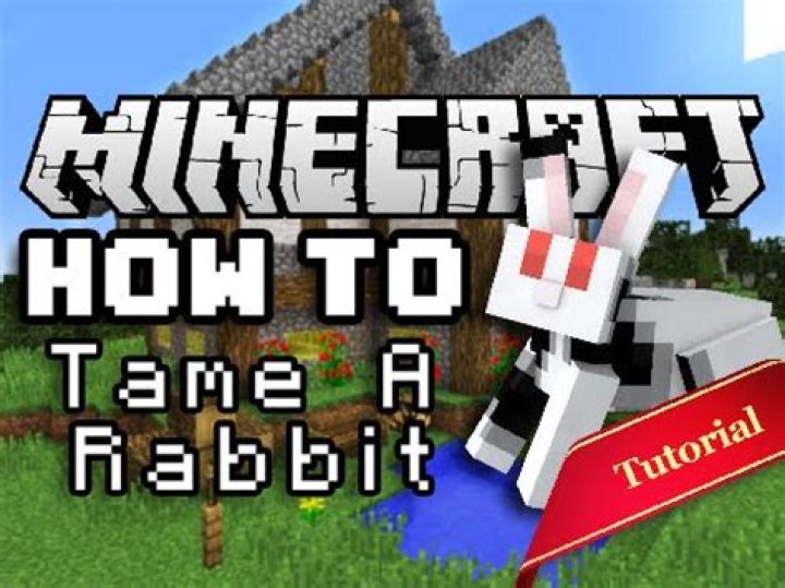 How do you tame a rabbit in minecraft