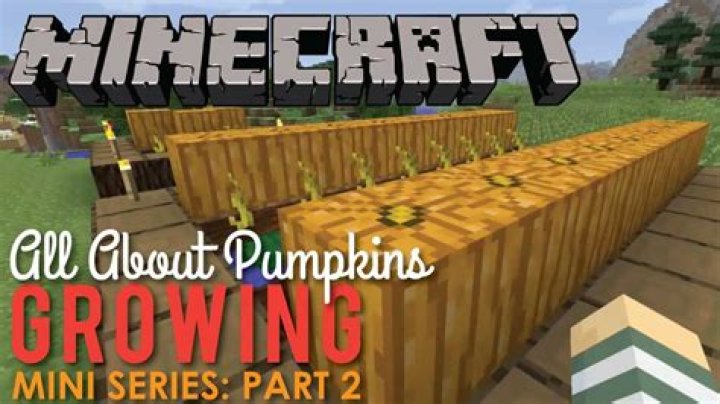 How long do pumpkins take to grow minecraft