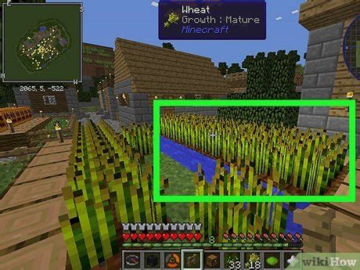 How long does wheat take to grow minecraft