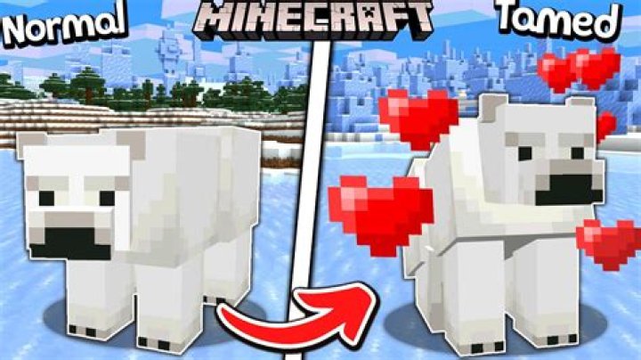 How to feed a polar bear in minecraft