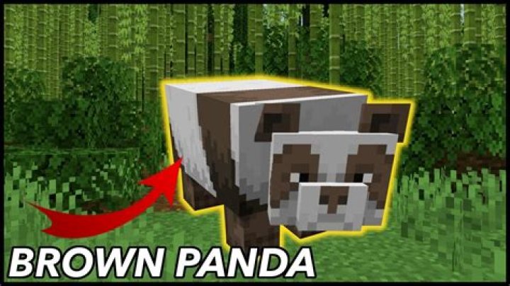 How to get a brown panda in minecraft