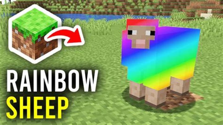 How to get a rainbow sheep in minecraft