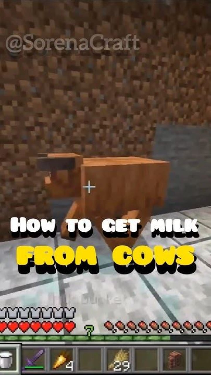 How to get milk from cows in minecraft