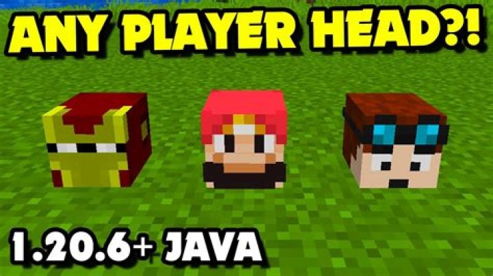 How to get player heads in minecraft 1.10