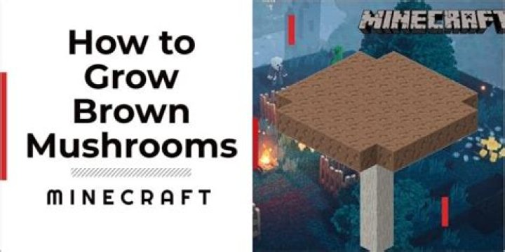 How to grow a brown mushroom in minecraft