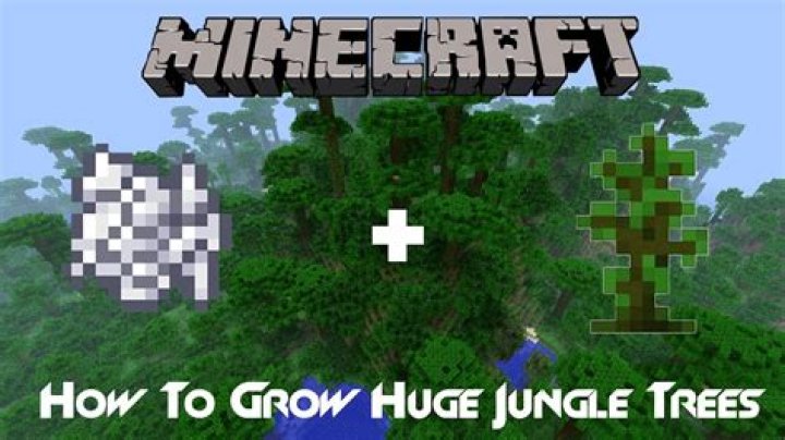 How to grow a jungle tree in minecraft