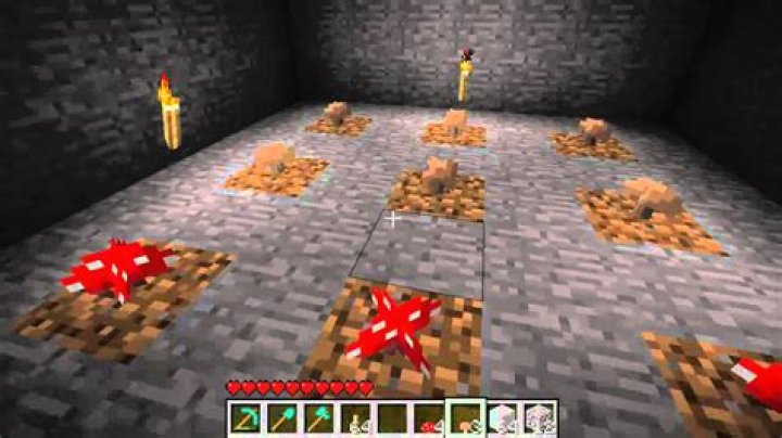 How to make a mushroom grow in minecraft