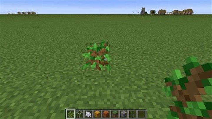 How to make a tree grow in minecraft