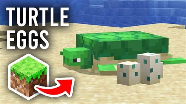 How to pick up turtle eggs in minecraft
