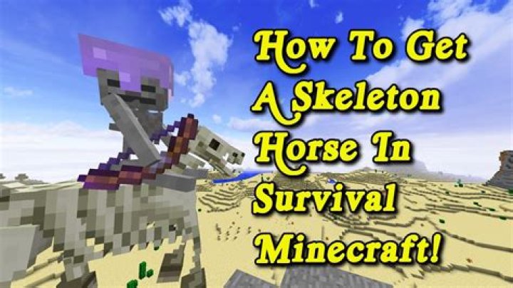 How to spawn a skeleton horse in minecraft