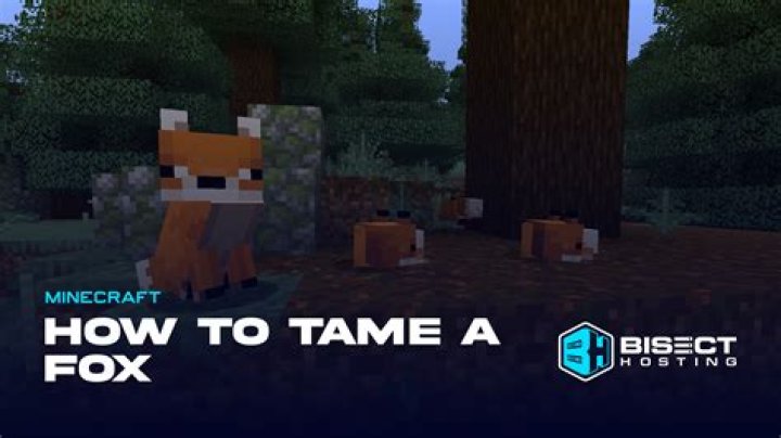 How to tame a fox in minecraft tutorial