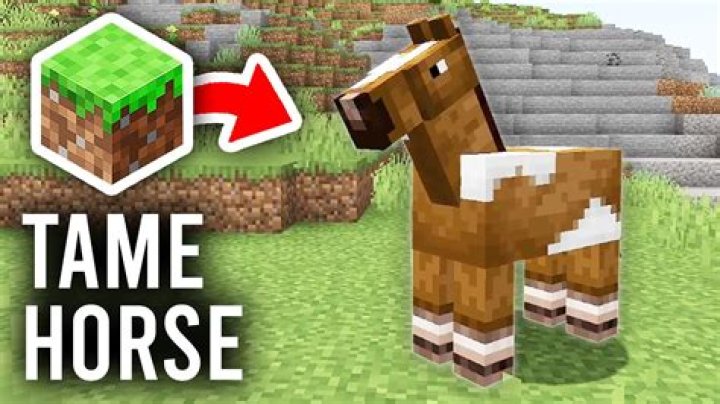 How to tame a horse on minecraft pe