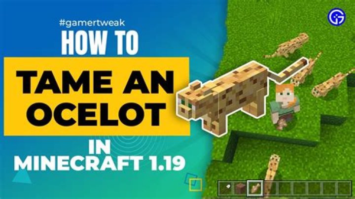 How to tame an ocelot in minecraft 2020