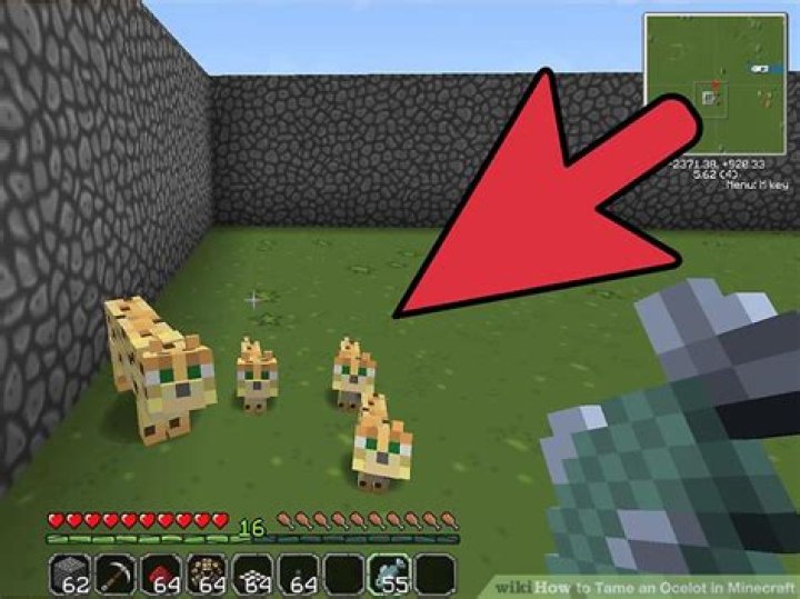 How to tame an ocelot in minecraft pc
