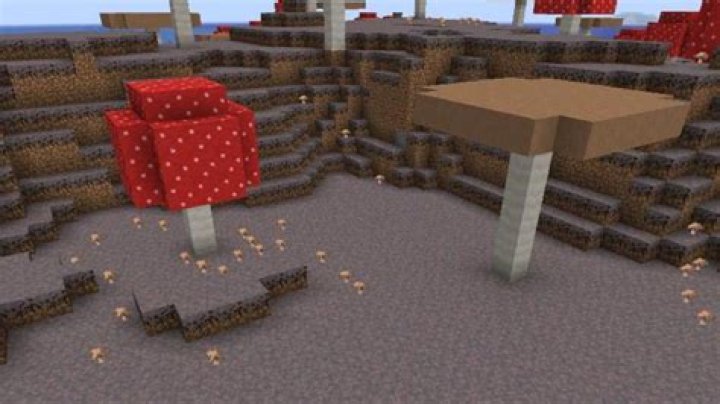What can mushrooms be placed on in minecraft