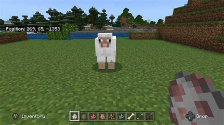 What do sheep like to eat in minecraft