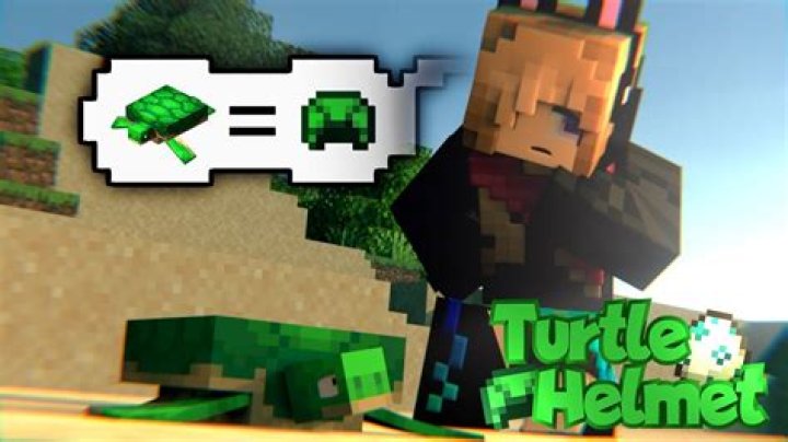 What does a turtle helmet do in minecraft