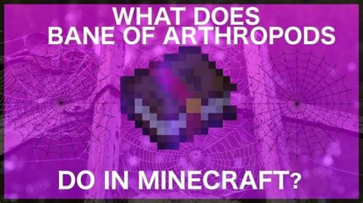 What does bane of arthropods in minecraft do