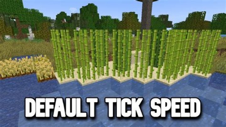 What is the default tick speed in minecraft