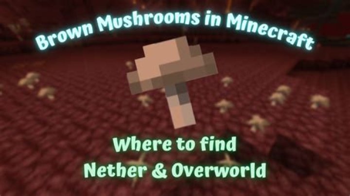 Where do you find brown mushrooms in minecraft
